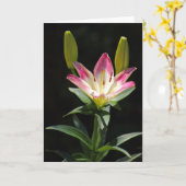 Lily wenskaart kaart (Gele Bloem)