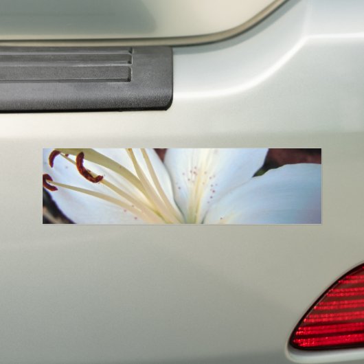 Lily White Bumpersticker (Op auto)