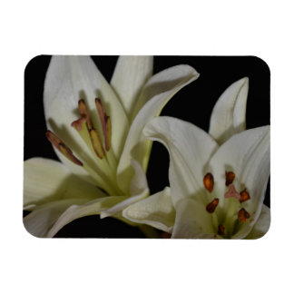 Lily White Flowers Peace Love Smile Grace Juanita Magneet