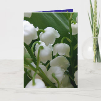 Lily Witte Bloemen Vredeskantoor Liefdesbestemming Kaart