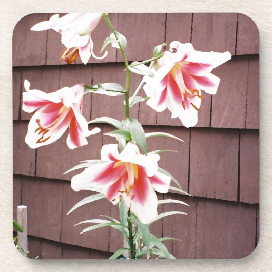 Lily zijderoute bier onderzetter (Voorkant)