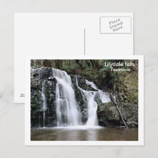 Lilydale herfsten, Tasmania Briefkaart (Voorkant / Achterkant)