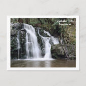 Lilydale herfsten, Tasmania Briefkaart (Voorkant)