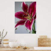 Lilyessence Poster (Keuken)