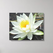 Lilypad Canvas Afdruk (Voorkant)