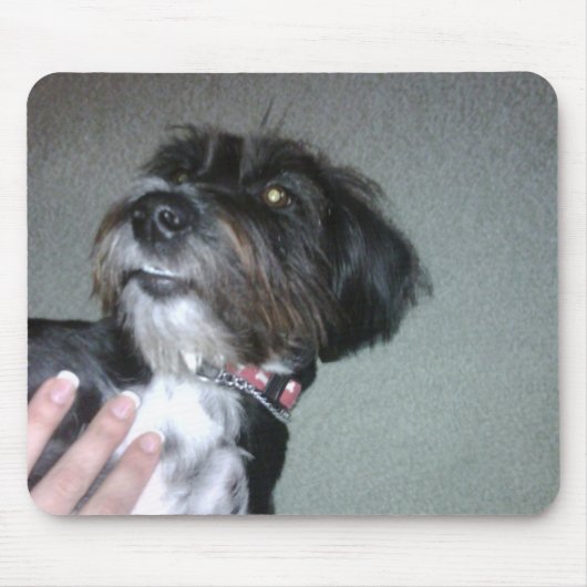 Lilypad Muismat (Voorkant)