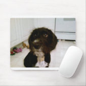 Lilypad Muismat (Met muis)