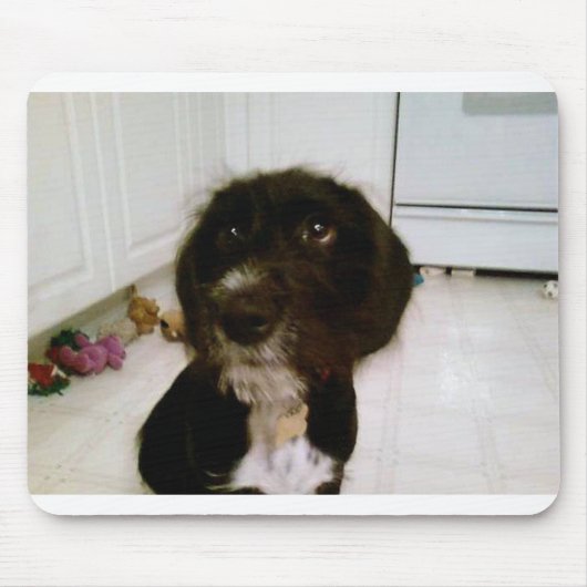 Lilypad Muismat (Voorkant)