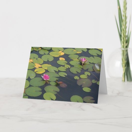 Lilypad Pond Painting Kaart (Voorkant)