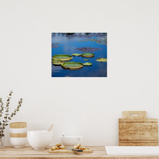 Lilypad Poster (Keuken)