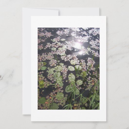 'Lilypads' All-purpose uitnodiging om aan te passe (Voorkant)