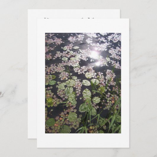 'Lilypads' All-purpose uitnodiging om aan te passe (Voorkant / Achterkant)
