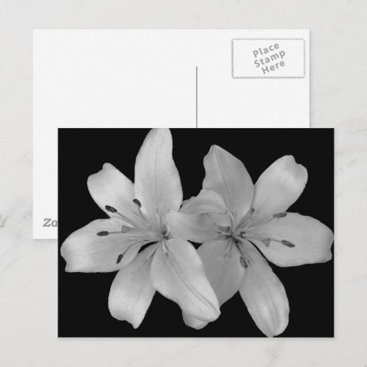 Lilys Briefkaart (Voorkant / Achterkant)