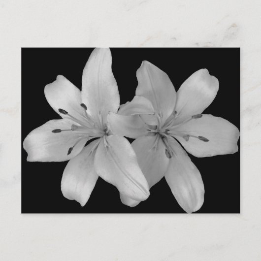 Lilys Briefkaart (Voorkant)