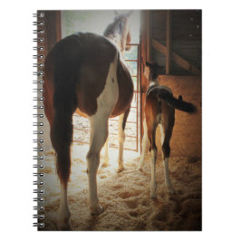 Lily's liefde notitieboek
