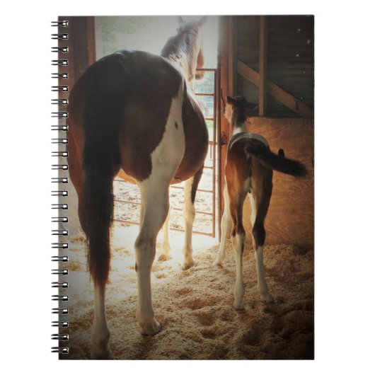 Lily's liefde notitieboek (Voorkant)