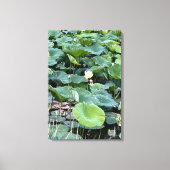 Lilyshade Silence 20 x30 Canvas Afdruk (Voorkant)