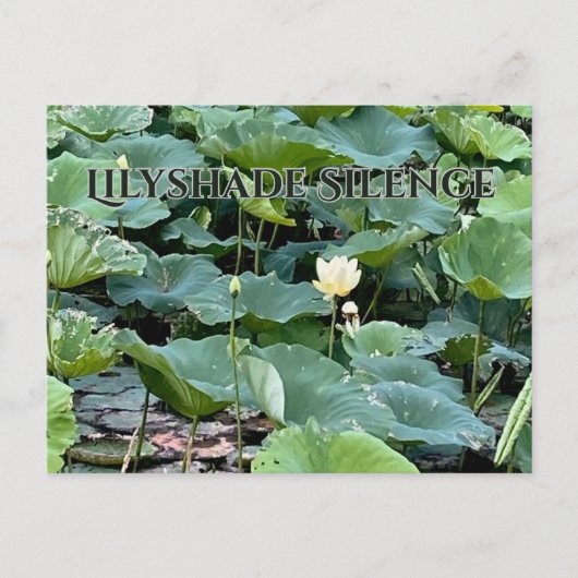 Lilyshade Silence  Briefkaart (Voorkant)