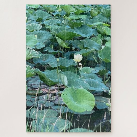 Lilyshade Silence - Stille Ember Puzzels (Verticaal)