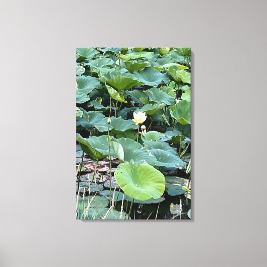 Lilyshade Stilte 20 x30 Canvas Afdruk (Voorkant)