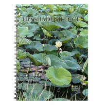 Lilyshade Stilte