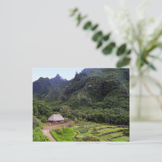 Limahuli Garden Taro Fields, Kauai Briefkaart (Staand voorkant)