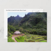 Limahuli Garden Taro Fields, Kauai Briefkaart (Voorkant / Achterkant)