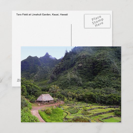 Limahuli Garden Taro Fields, Kauai Briefkaart (Voorkant / Achterkant)