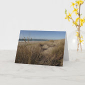 Limantour Beach at Point Reyes II Kaart (Gele Bloem)