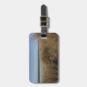 Limantour Beach at Point Reyes National Seashore I Bagagelabel (Voorkant verticaal)