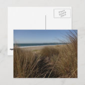 Limantour Beach at Point Reyes National Seashore I Briefkaart (Voorkant / Achterkant)