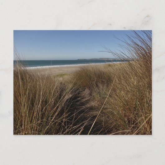 Limantour Beach at Point Reyes National Seashore I Briefkaart (Voorkant)