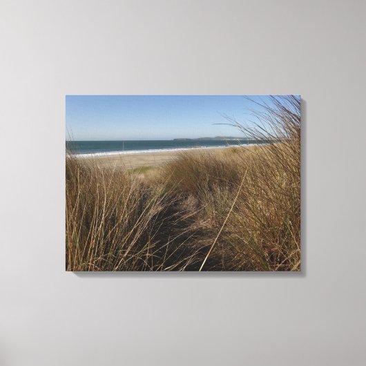 Limantour Beach at Point Reyes National Seashore I Canvas Afdruk (Voorkant)