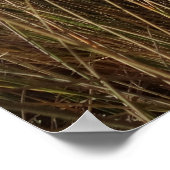 Limantour Beach at Point Reyes National Seashore I Poster (Hoek)