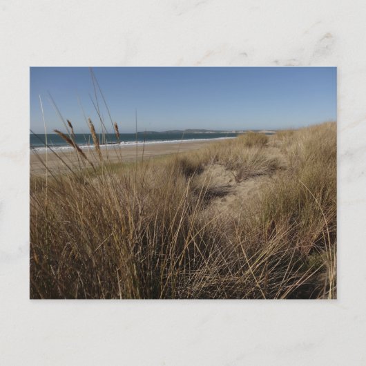 Limantour Beach bij Point Reyes II Briefkaart (Voorkant)