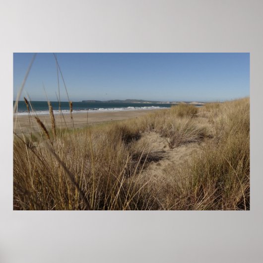 Limantour Beach bij Point Reyes II Poster (Voorkant)