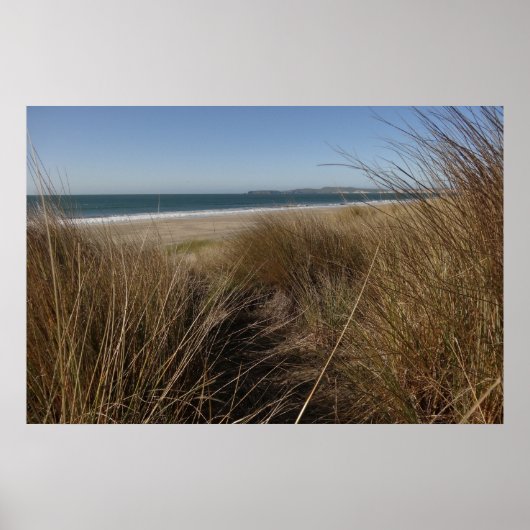 Limantour Beach bij Point Reyes National Seashore Poster (Voorkant)
