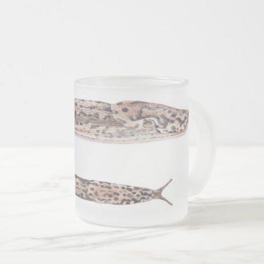 Limax maximus - waterverf mok (Voorkant rechts)