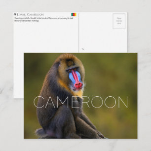 Limbe Wildlife, Kameroen Reisansichtkaart Briefkaart
