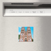 Limburgse Dom Magneet (Insitu (Vaatwasser))