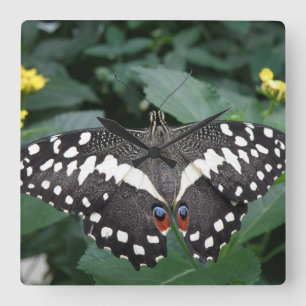 Lime Butterfly and Flowers Wall Clock Vierkante Klok