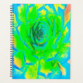 Lime Green Chartreuse Succulent Sedum Rosette Planner (Voorkant)