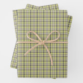 Lime Green Plaid Classic Pattern Retro Inpakpapier Vel (In situ)