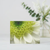 Lime Treat Briefkaart (Staand voorkant)