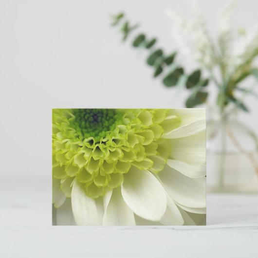 Lime Treat Briefkaart (Staand voorkant)