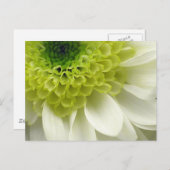 Lime Treat Briefkaart (Voorkant / Achterkant)