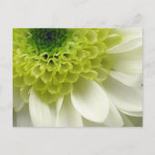 Lime Treat Briefkaart (Voorkant)