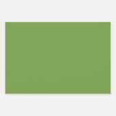 Limeade effen kleur | Klassiek | Elegant Inpakpapier Vel (Voorkant)