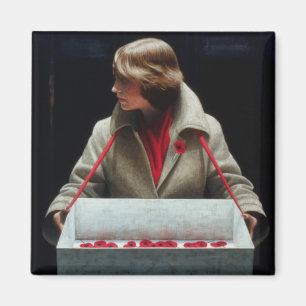 Limelight 1979 magneet