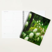 Limelight Hortensia's in Mijn Rubio Tuin Planner (Display)